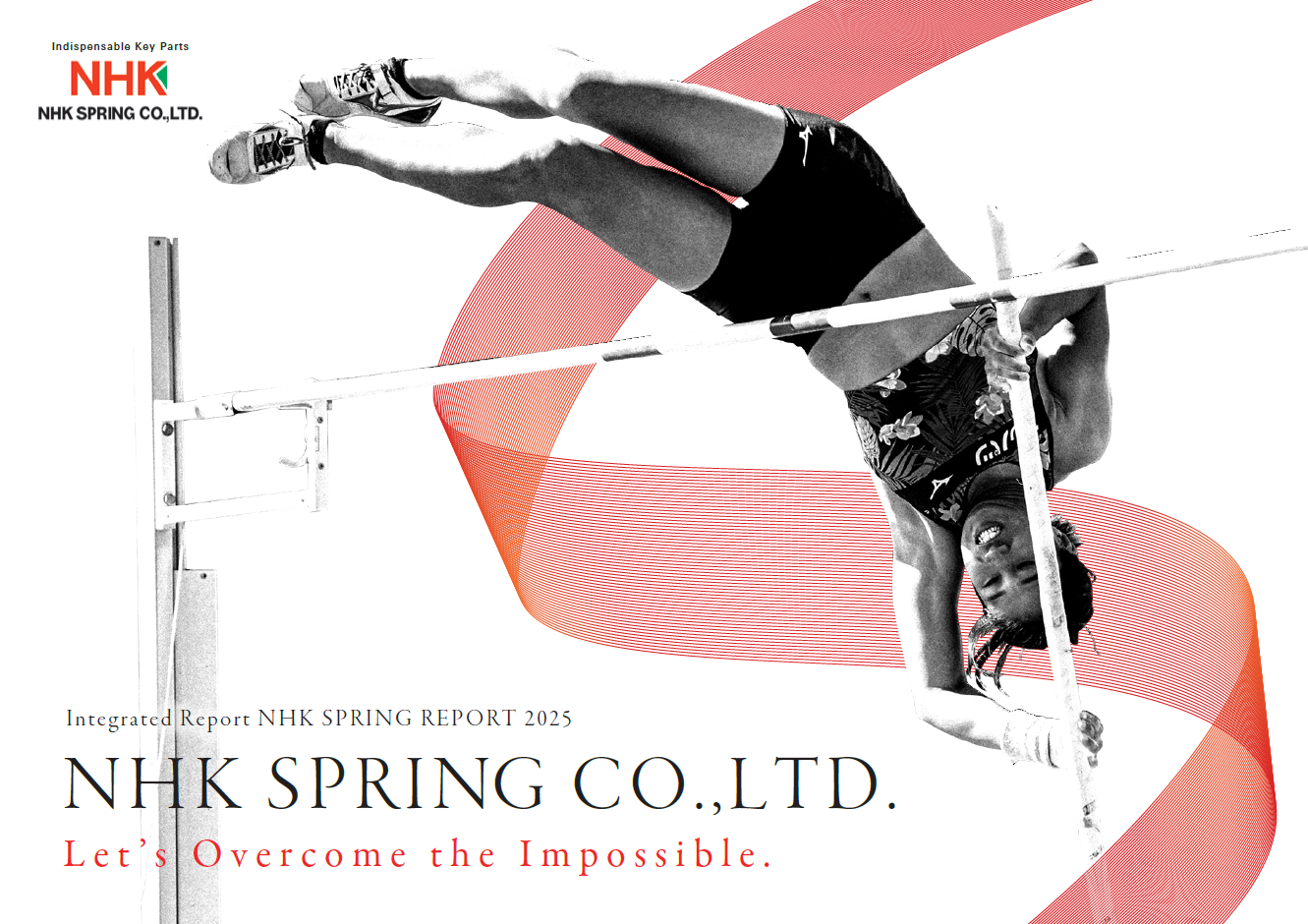 INTEGRATED REPORT 2025