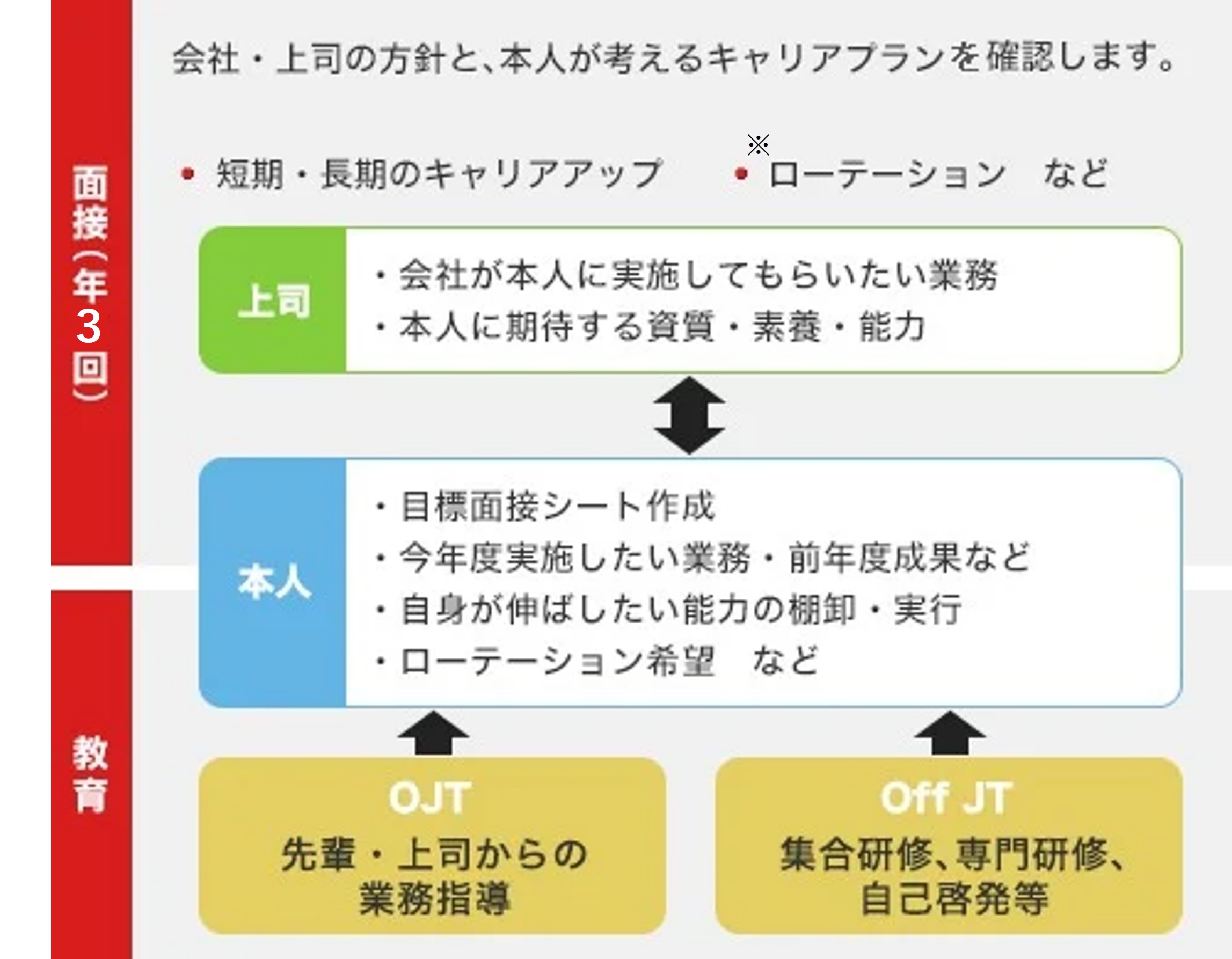 年3回の面接と教育を通して会社や上司の方針と本人が考えるキャリアプランの確認における図解